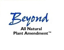 Beyond
