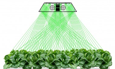 Sun-Light Series 400W Induction Grow Lights