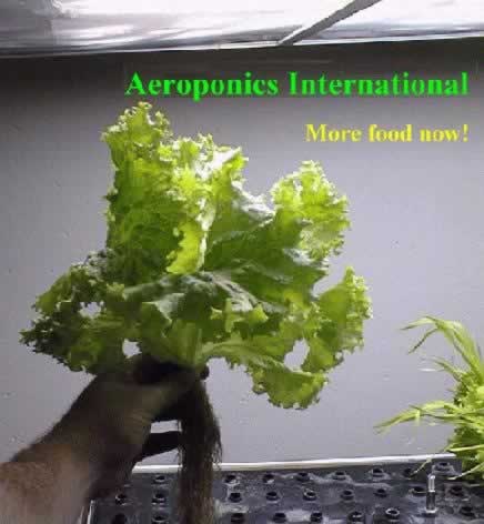 Grow more pesticide-free food - faster with less nutrients and water