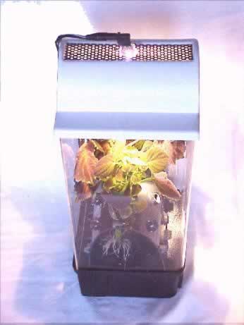 Aeroponic BenchTop - Professional Unit (price: $289.99 includes asseccories and light dome