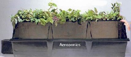 Grow Plants in Air - No soil needed