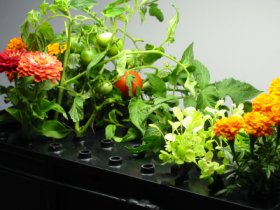 High Capacity Benchtop Unit w/ Light Array