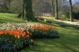 Perfect for flowers, trees and lawns